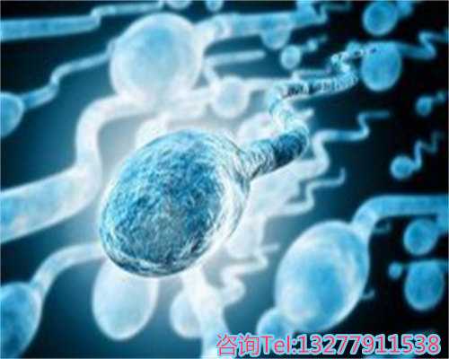 试管代生费用解析：女方为何选择试管婴儿及家庭出资原因