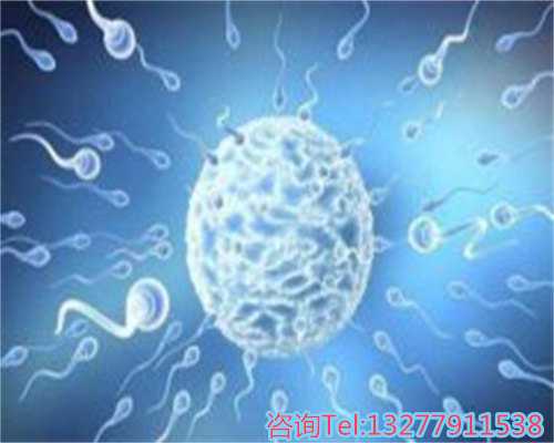 试管月经第二天阴道B超检查的必要性与作用