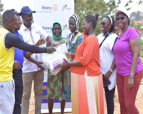 试管卵泡过多对代怀过程的影响与应对策略